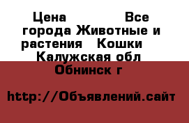 Zolton › Цена ­ 30 000 - Все города Животные и растения » Кошки   . Калужская обл.,Обнинск г.